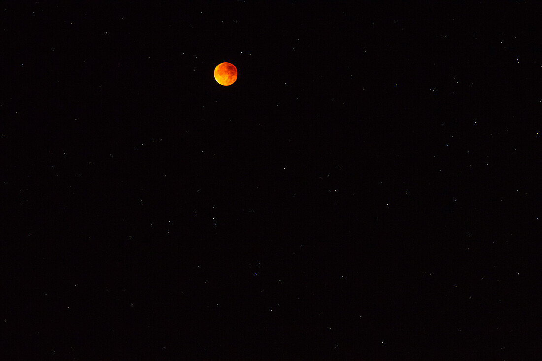 Blood-red moon over Brandenburg in September 2015 - Germany, Brandenburg, Rangsdorf