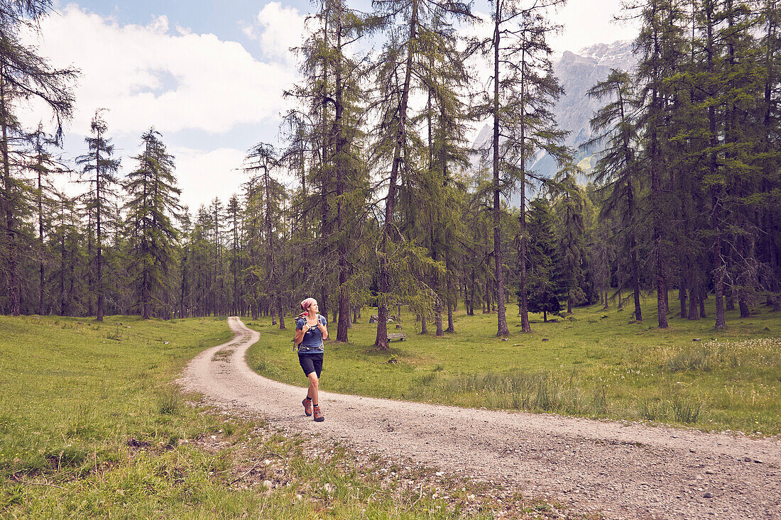 Woman hiking a track in the forest