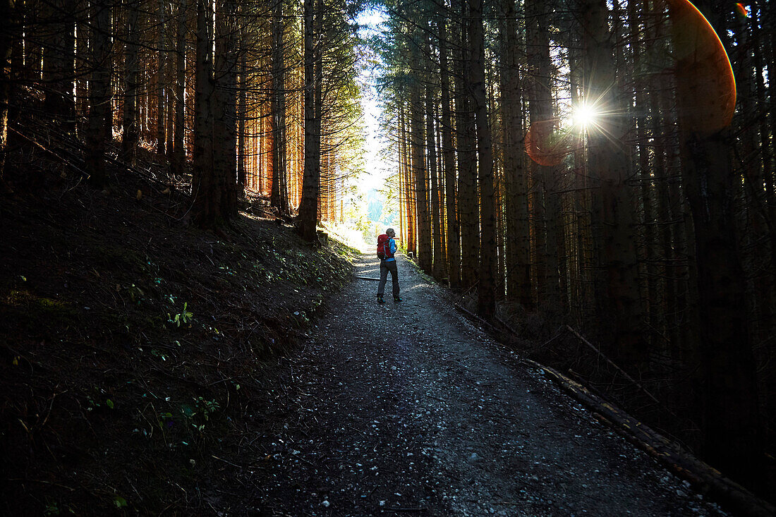 Woman hiking in a dark forest