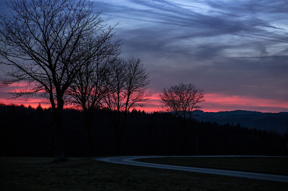 Abgeschiedene Straße zwischen Feldern und Wäldern beim Abendrot, Allgäu, Bayern, Deutschland