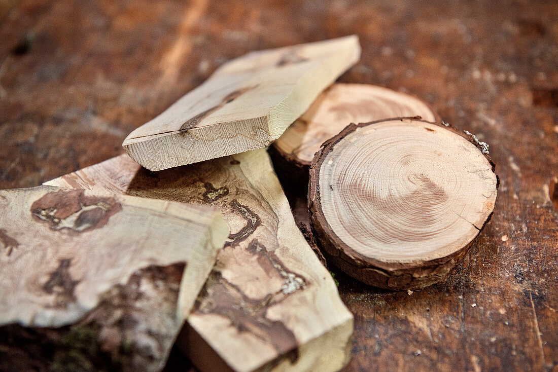 arty dried dead wood for manufacturing, Sonthofen, Allgaeu, Bavaria, Germany