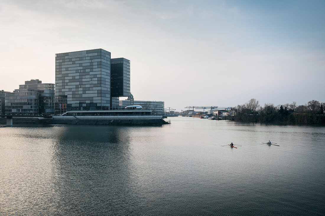 zwei mit Ruderboot im Medienhafen paddeln Richtung Hyatt Regency Hotel, Düsseldorf, Nordrhein-Westfalen, Deutschland