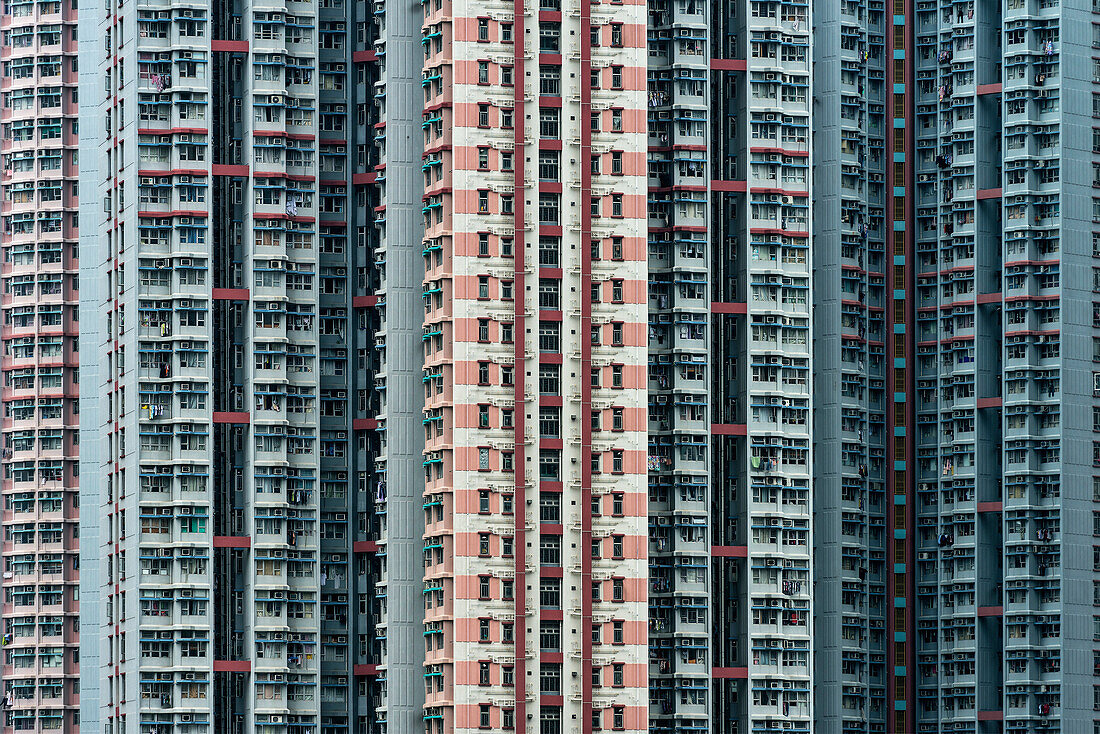 Detail von sozialem Wohnungsbau in der Satelittenstadt Tin Shu Wai, New Territories, Hongkong, China, Asien