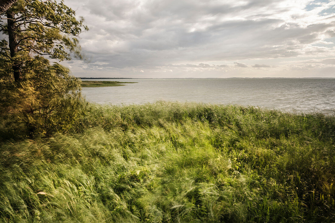 ein Sturm zieht über die Mecklenburger Seenplatte, Mecklenburg-Vorpommern, Deutschland, Langzeitbelichtung