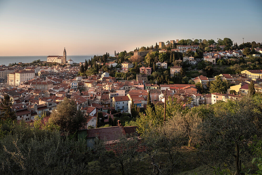 Blick auf Altstadt von Piran mit ihrer venezianischen Architektur, Slowenien, Adria, Mittelmeer, Europa