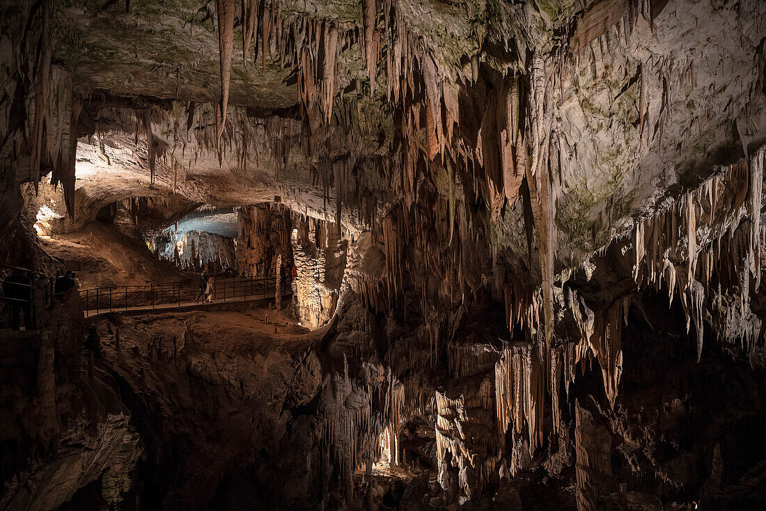 gewaltige Tropfsteine – Stalagtiten und Stalagmiten – in den Höhlen von Postojna, Slowenien, Europa