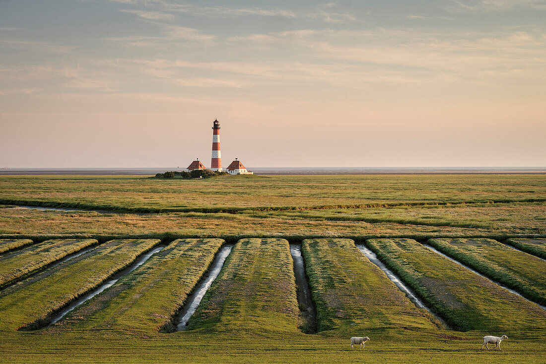 Westerheve lighthouse around St. Peter Ording, UNESCO Wadden Sea, Germany