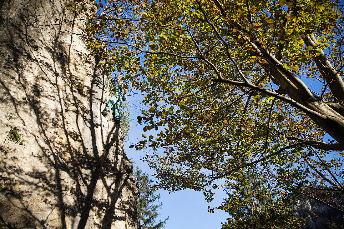 Young woman climbing at a rock face, Schwaerzer Wand, Bavaria, Germany