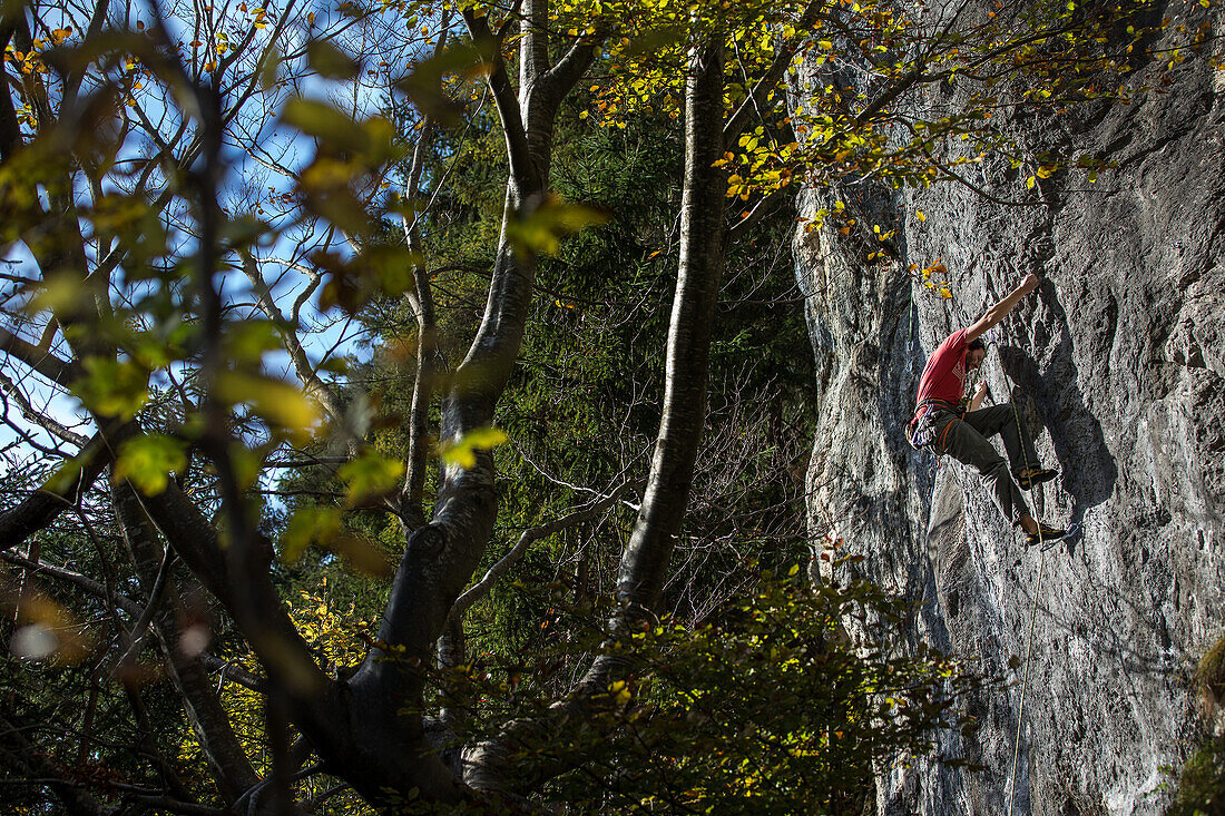 Young man climbing at a rock face, Schwaerzer Wand, Bavaria, Germany