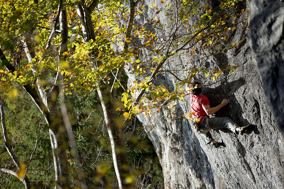 Young man climbing at a rock face, Schwaerzer Wand, Bavaria, Germany