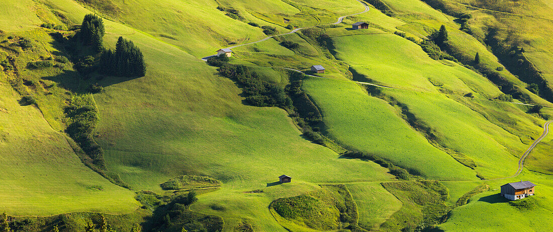 Schöneberg Alm, Lechtal, Vorarlberg, Österreich