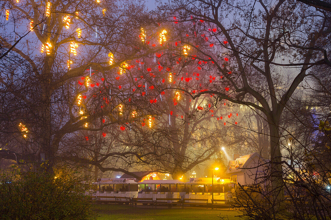 Weihnachtlich geschmückte Bäume im Park vor dem Rathaus, 1. Bezirk, Wien, Österreich