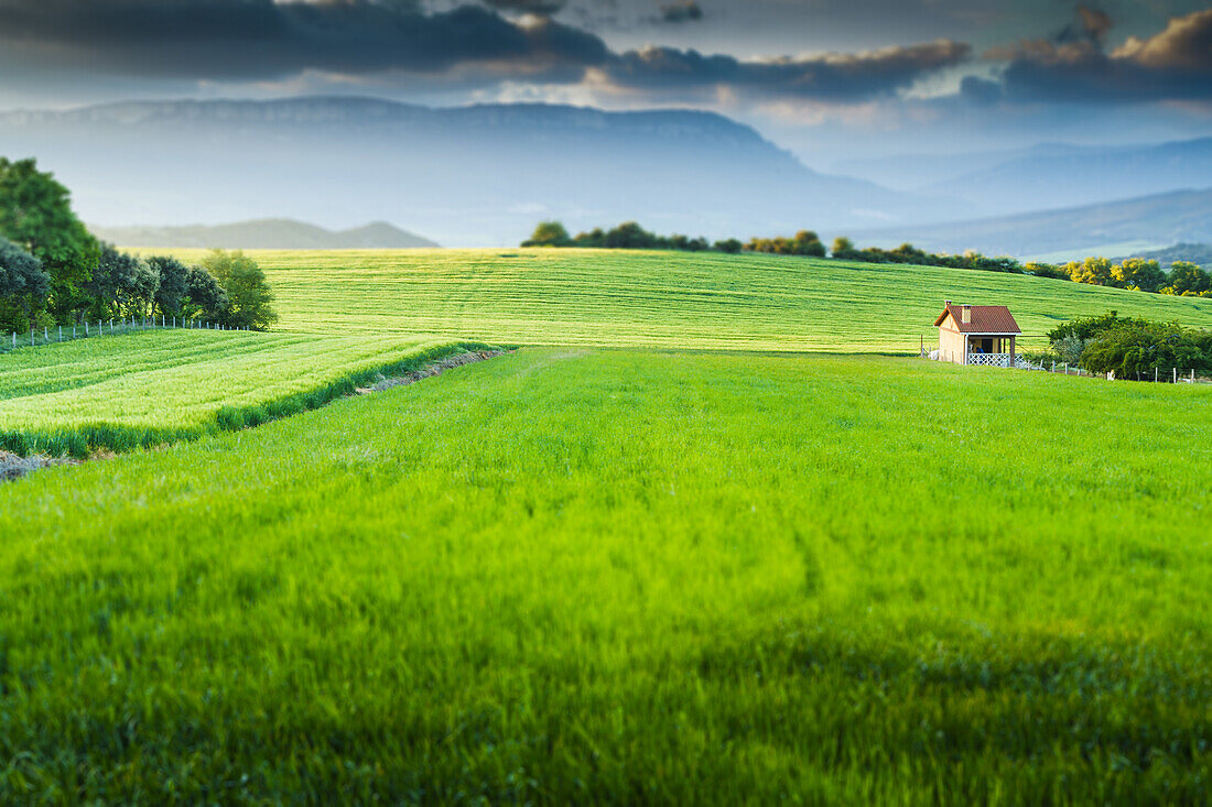 Country. Navarre, Spain, Europe.