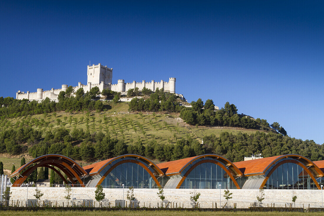 'Protos'''' winery and Castle. Peñafiel village. Ribera de Duero region. Valladolid. Castile and Leon. Spain, Europe.'''