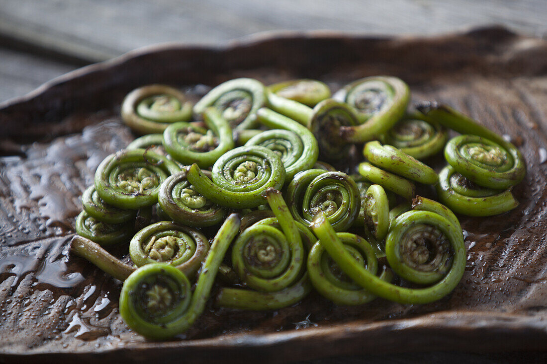 Fiddlehead ferns, wild edible