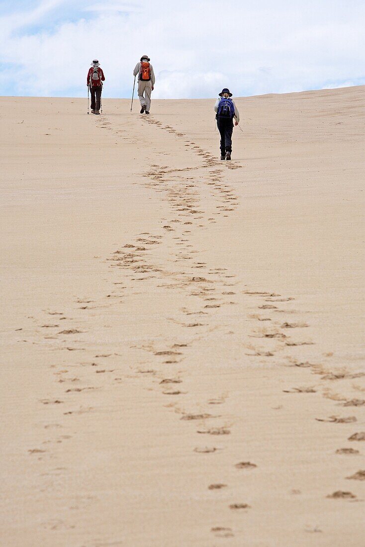 Bushwalking on Thurra Dunes, the second highest sand dune in the southern hemisphere. Croajingolong National Park, Victoria, Australia.