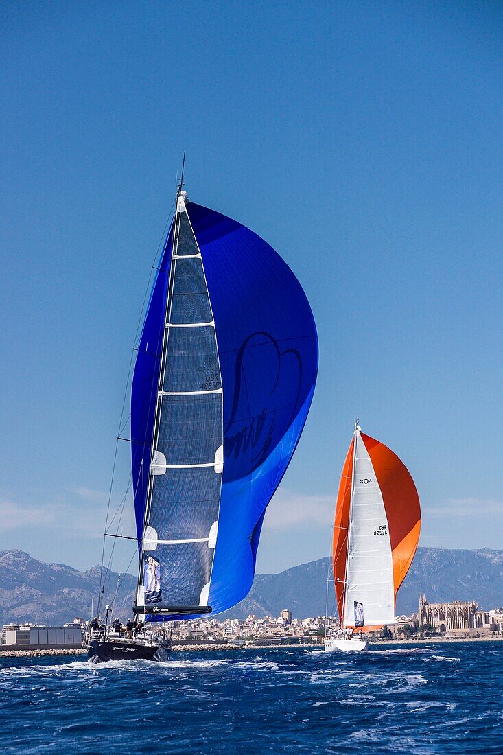 The Superyacht Cup Palma, bahia de Palma, Mallorca, balearische Inseln, Spanien, Europa