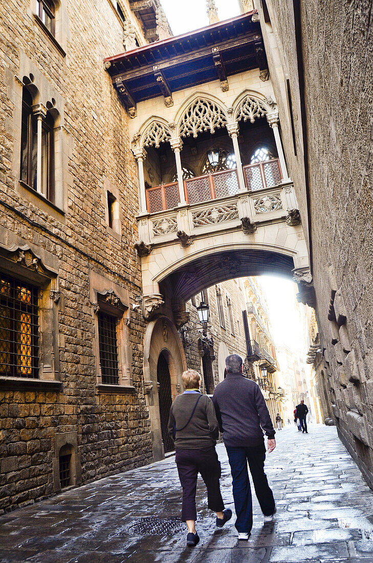 Carrer del Bisbe. Barcelona, Catalonia, Spain.