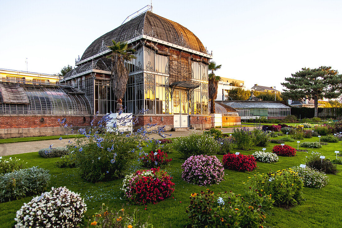 Botanical Garden detail in Nantes, France.