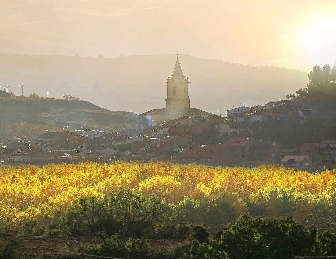 Navarrete, Camino de Santiago, Santiago way. Navarrete village in autumn, La Rioja, Rioja wine region, Spain, Europe.