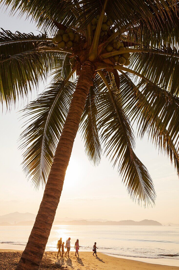 Coconut palm trees. Manzanillo beach. Pacific Ocean. Colima. Mexico.