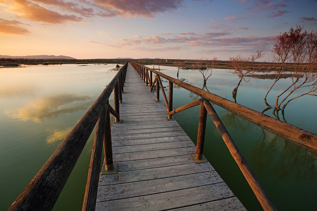Sunset, Natural reserve Laguna de Fuente de Piedra, Malaga, Andalusia, Spain.