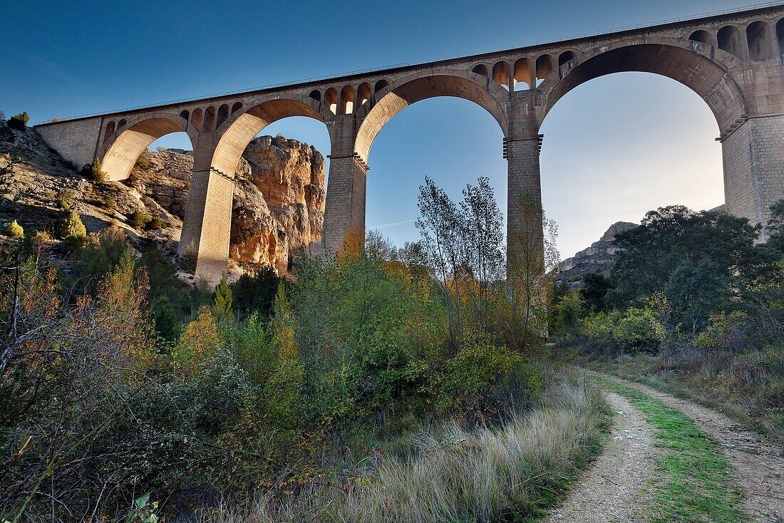 Viaduct in the Riaza Canyon Natural Park. Montejo de la Vega de la SerrezuelaSegovia. Castilla Leon. Spain. Europe.