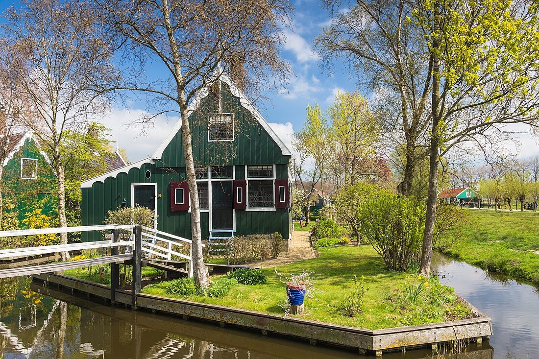 Traditional house, little canal and picturesque bridge in the historic village of Zaanse Schans, The Netherlands, Europe