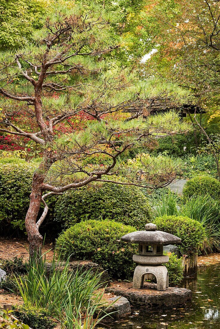 Japanese Garden at the Minnesota Landscape Arboretum.