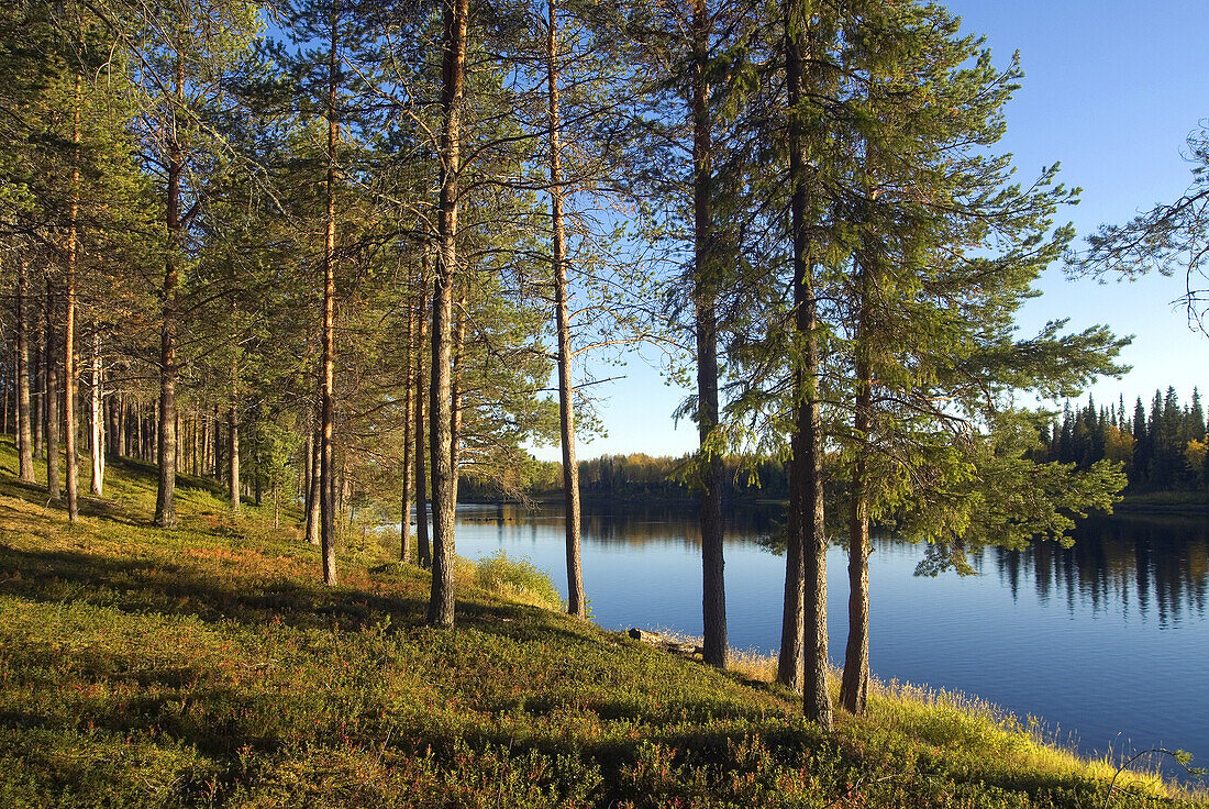 Ufer des Kemijoki-Flusses, Region Savukoski, Lappland, Finnland, Nordeuropa.