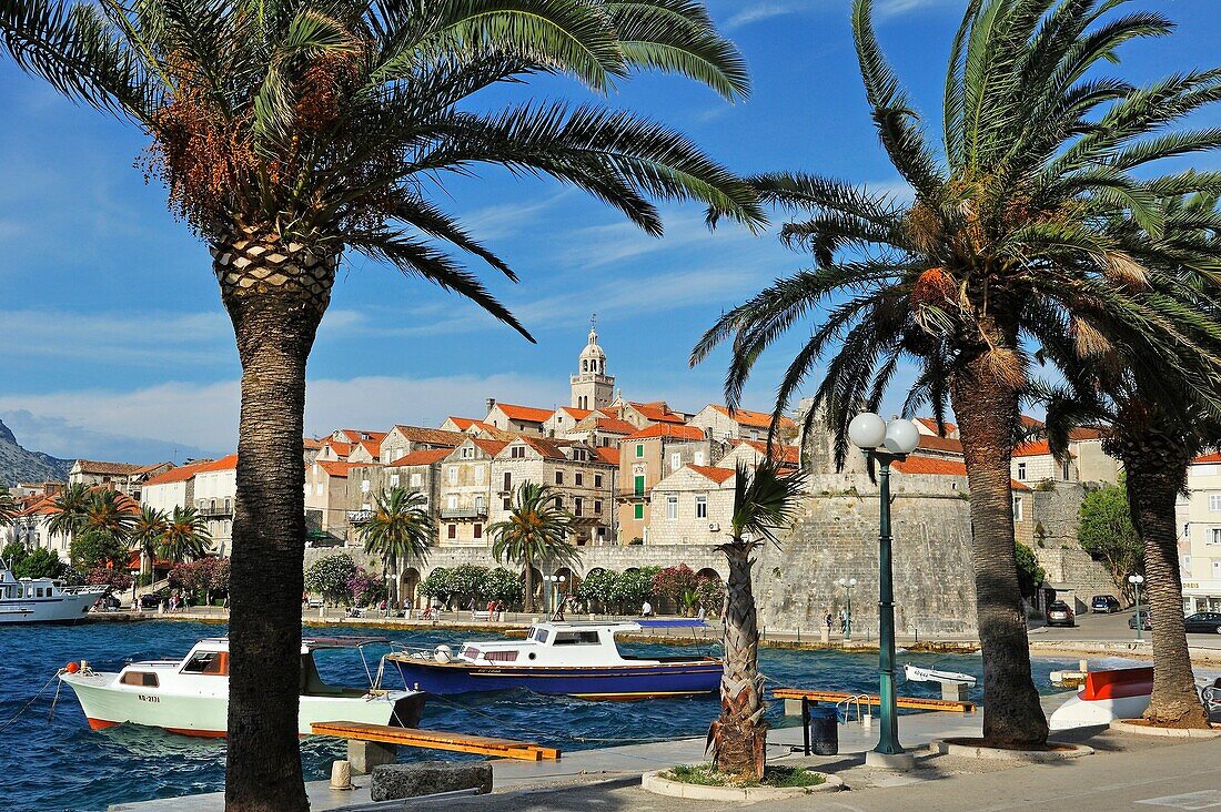 Promenade Svetog Nikole, Altstadt von Korcula, Insel Korcula, Kroatien, Südosteuropa.