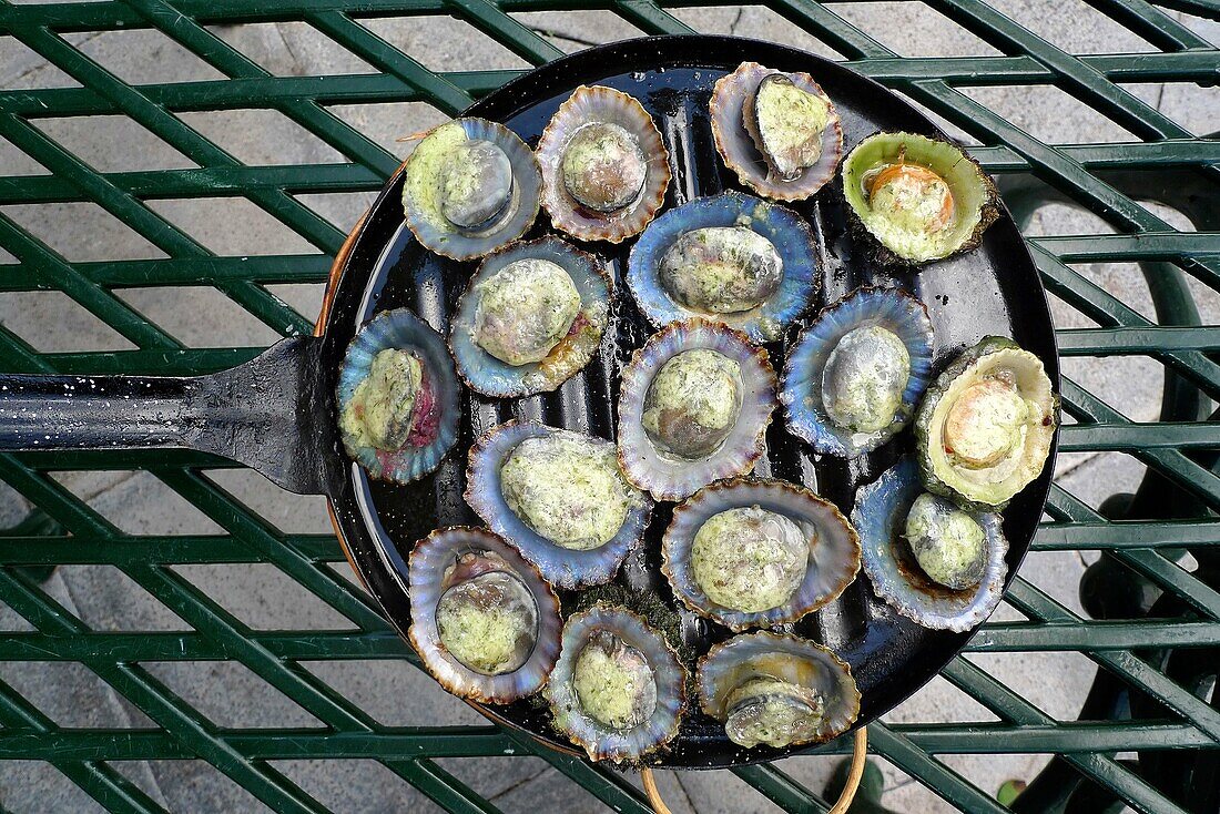 Grilled limpets with green mojo, Lanzarote. Canary Islands. Spain.