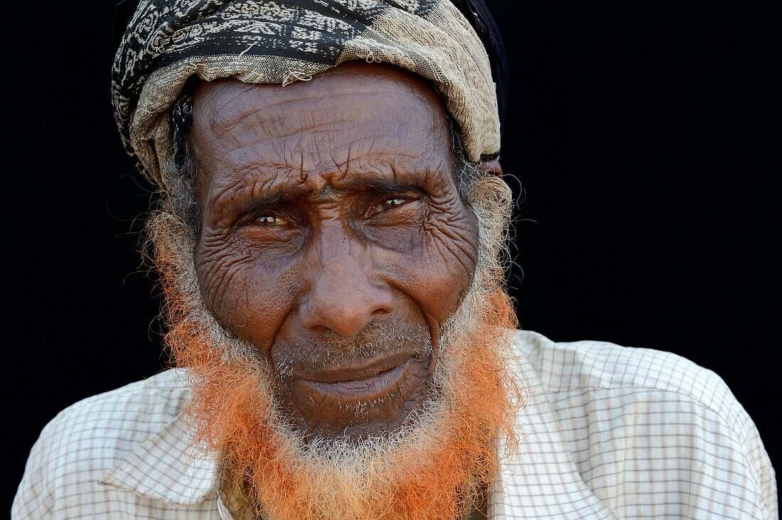 Head portrait of old man, Ahmed Ela village, Danakil depression, Afar region. Older Afar tribe mens are used to dye their beards using henna, Ethiopia, Africa.