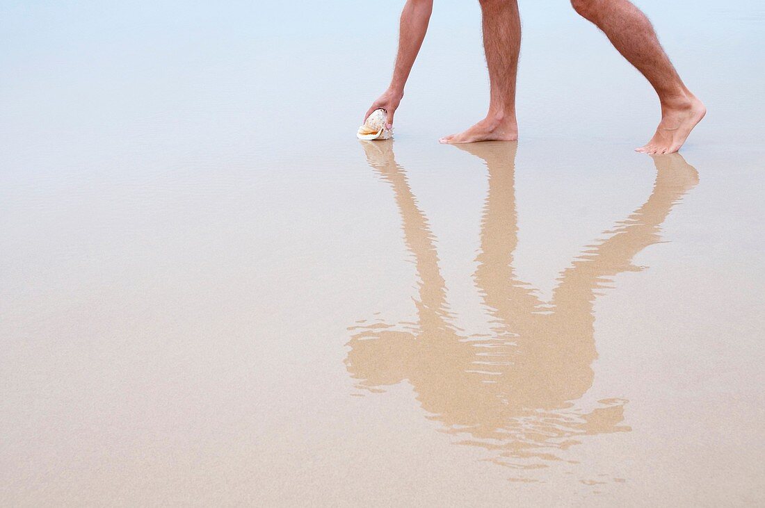 Mann auf nassem Sand, der eine Muschel und ihr Spiegelbild aufhebt.