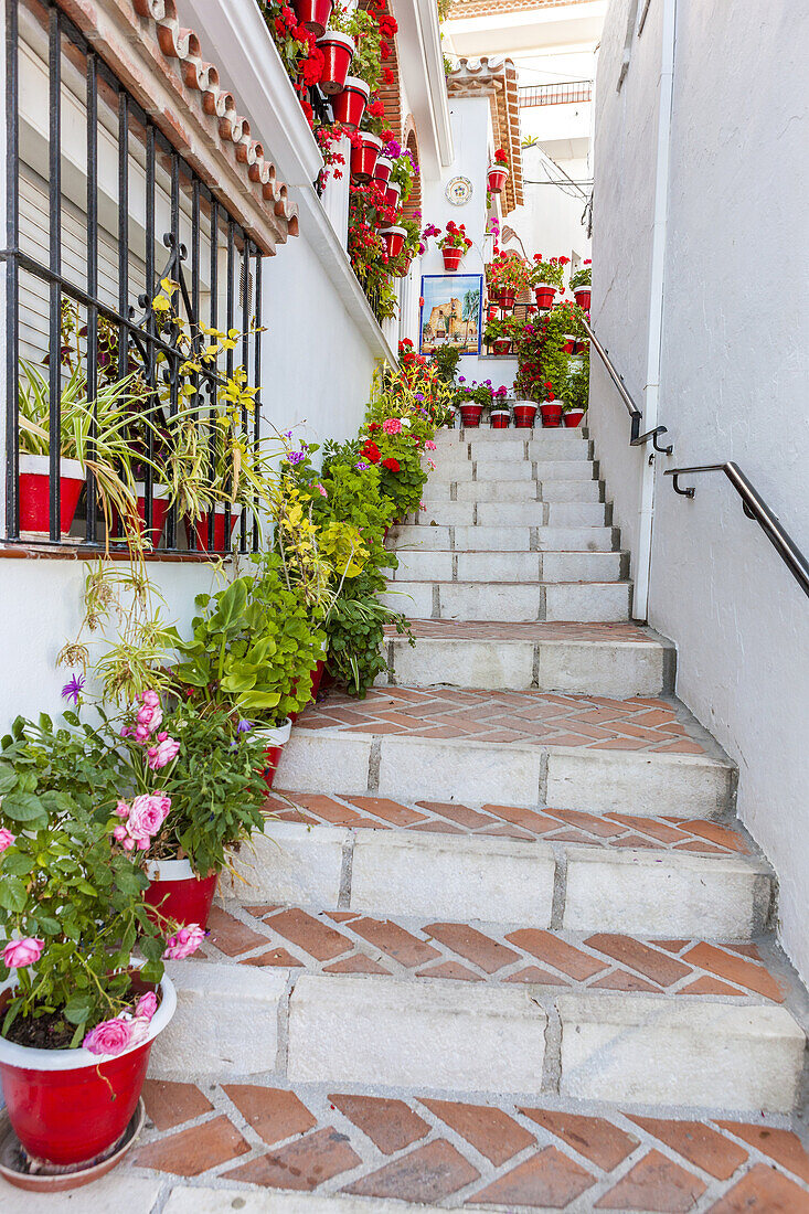 Street in the white hill village of Mijas, Costa del Sol, Andalusia, Spain, Europe