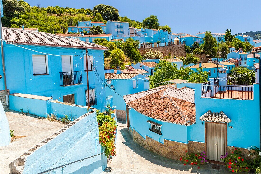 Pueblo Júzcar in blue, the Serrania de Ronda, Malaga province, Andalusia, Spain, Europe.