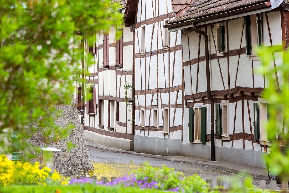 Medieval town Allschwil, Basel, Canton Basel-Landschaft, Switzerland.