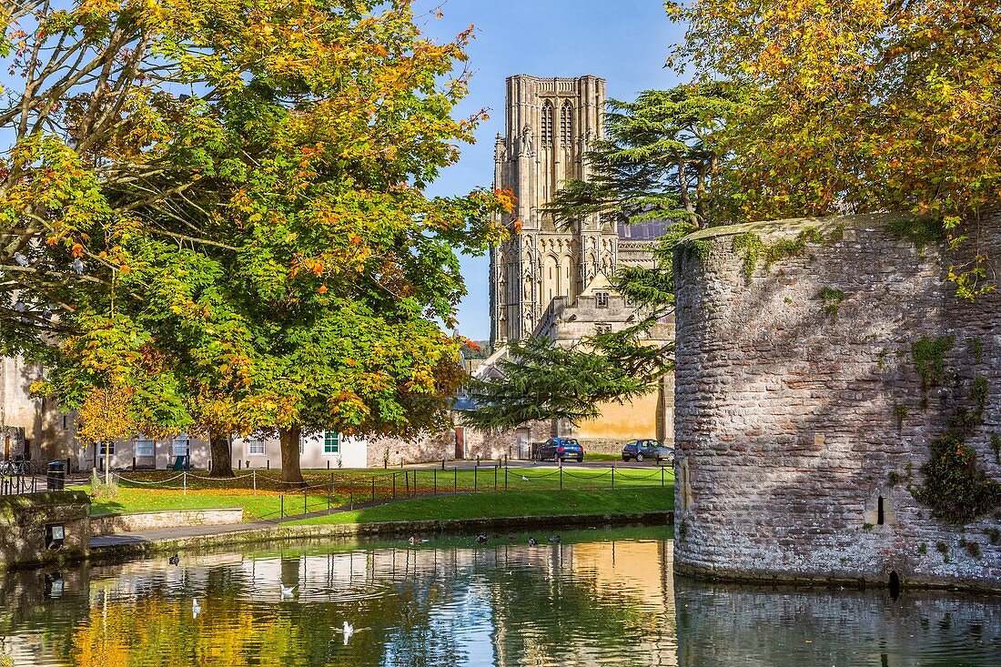 Moat surrounding the Bishops Palace in Wells with Cathedral in background, Somerset, England, United Kingdom, Europe.