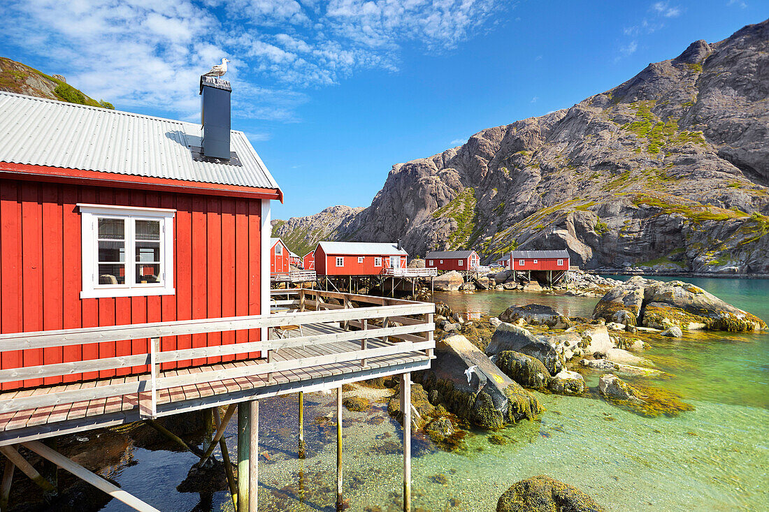 Lofoten Islands, Flakstadoy Island, Norway.