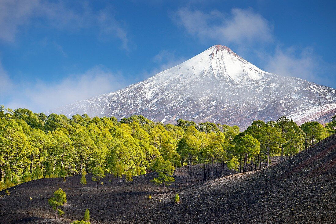 View of Teide Volcano Mount, Tenerife, Canary Islands, Spain.