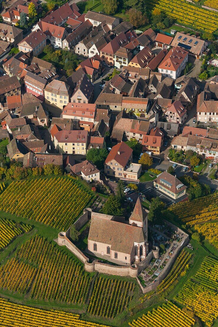France, Haut Rhin 68, Wines road, village of Hunawihr, fortified church of Saint Jacques le Majeur, village classified most beautiful french village aerial view