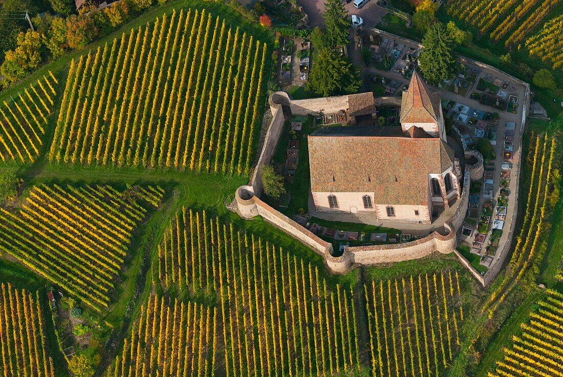 France, Haut Rhin 68, Wines road, village of Hunawihr, fortified church of Saint Jacques le Majeur aerial view
