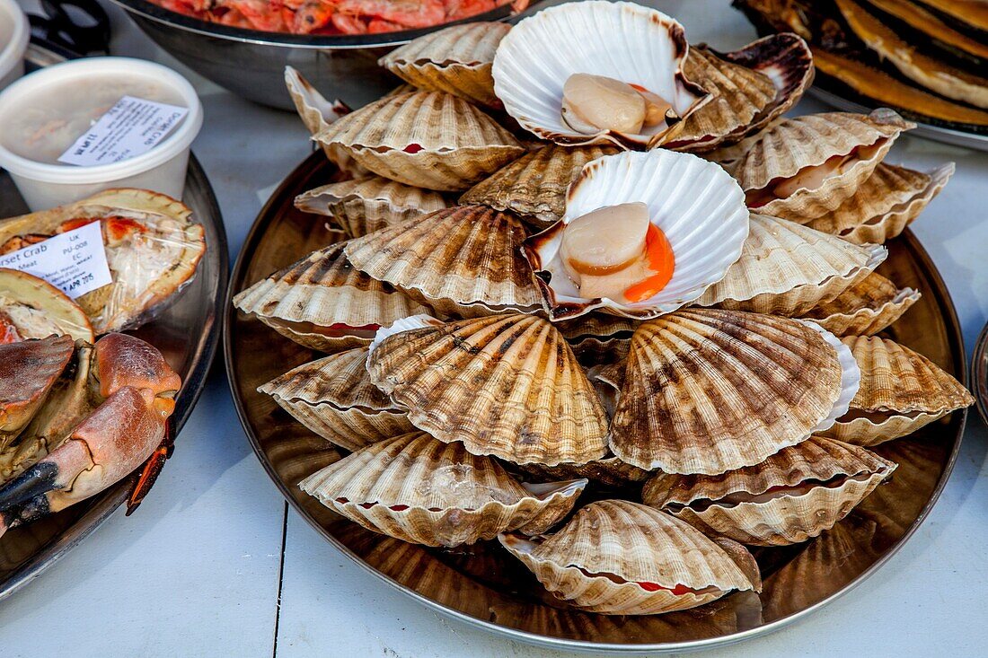 Fresh Scallops For Sale At The Saturday Farmers Market In Heron Square, Richmond Upon Thames, London, England.