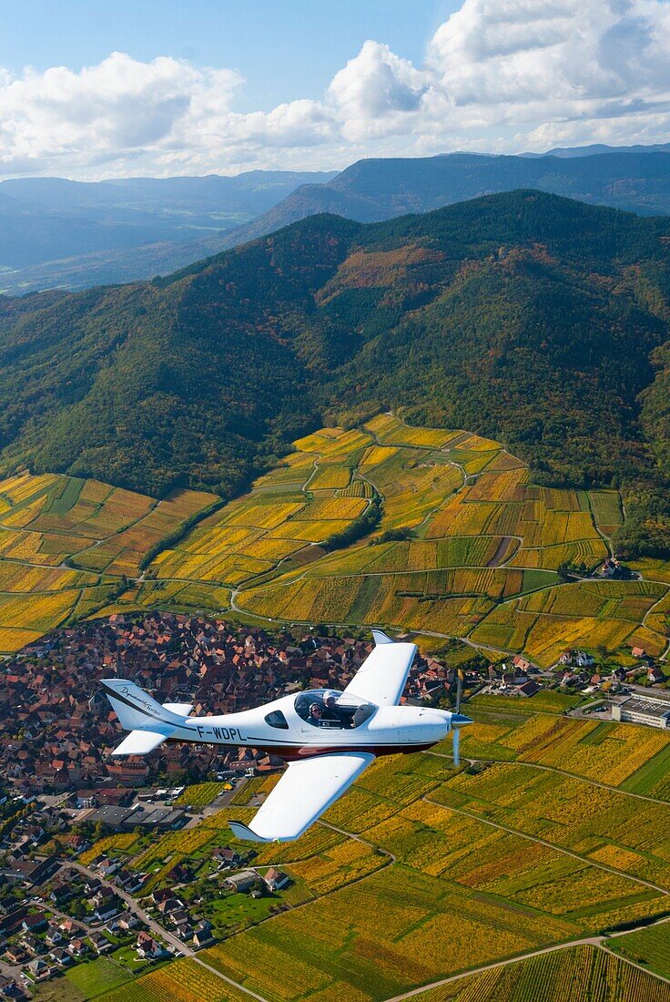 France, Bas Rhin 67, Wines road, Dambach-la-ville, Aerospool Dynamic plane flying over vineyards during autumn aerial view
