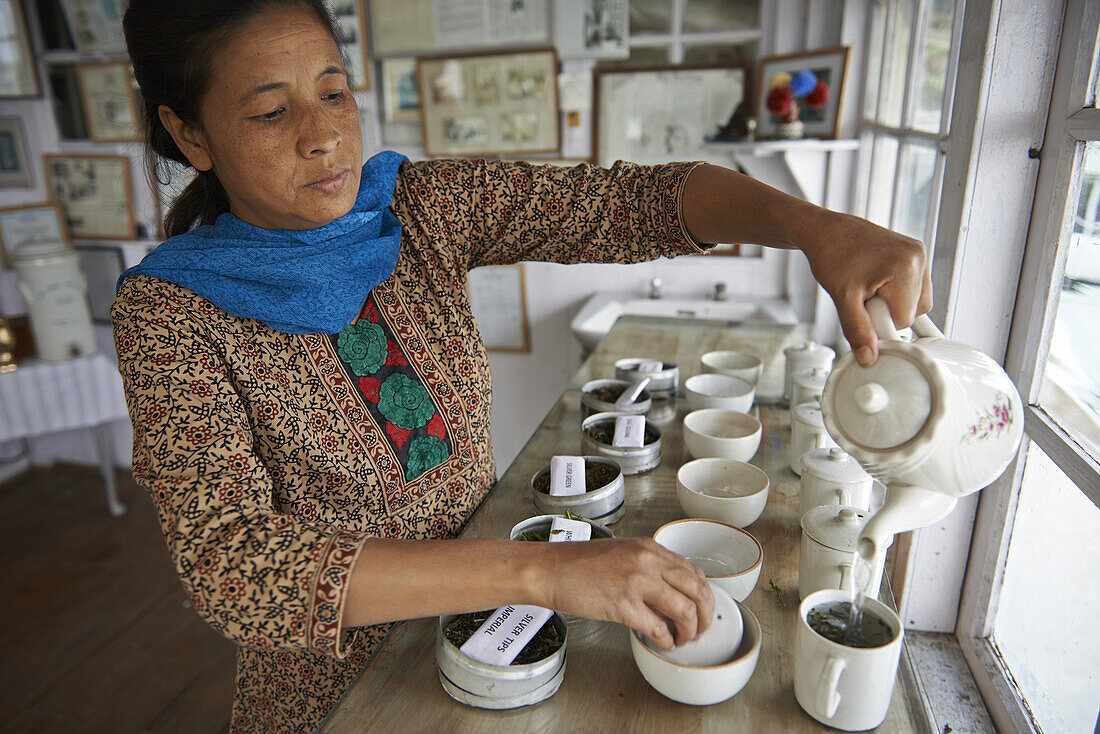 A woman prepares various samples of tea at the Makaibari Tea Estates.