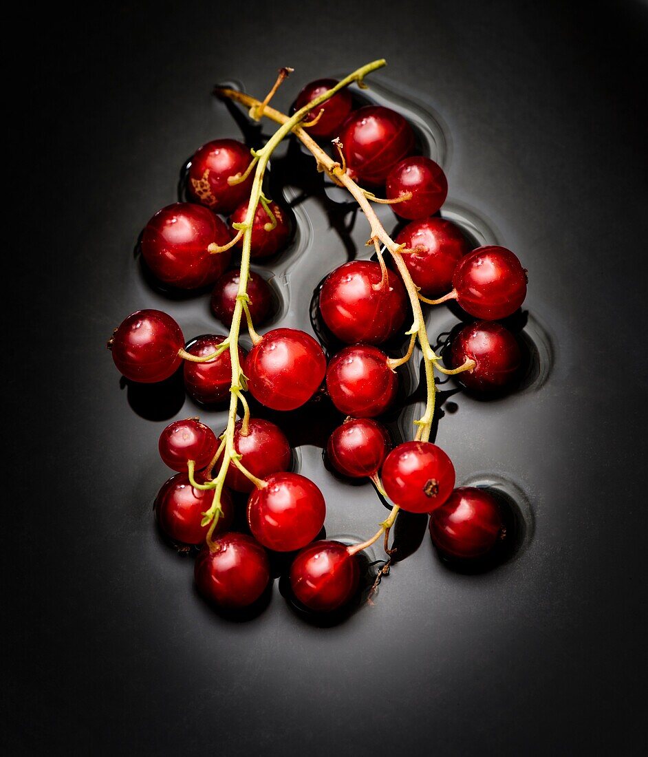 Closeup of red ripe redcurrant berries with dark background.