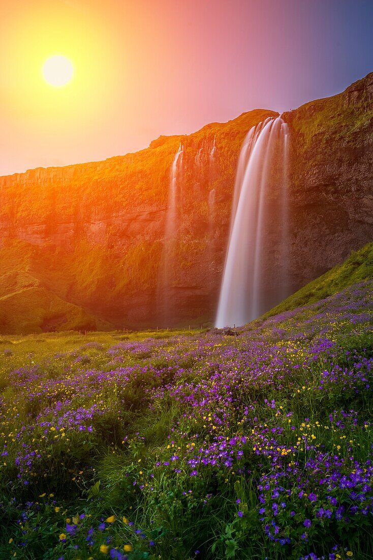 Seljalandsfoss Waterfall at sunset, Iceland.