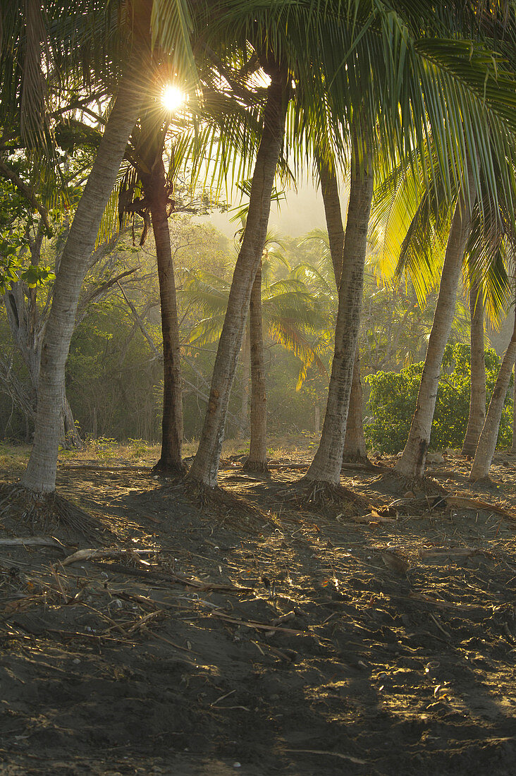 Sunrise on a black sand beach at Papagayo Bay.