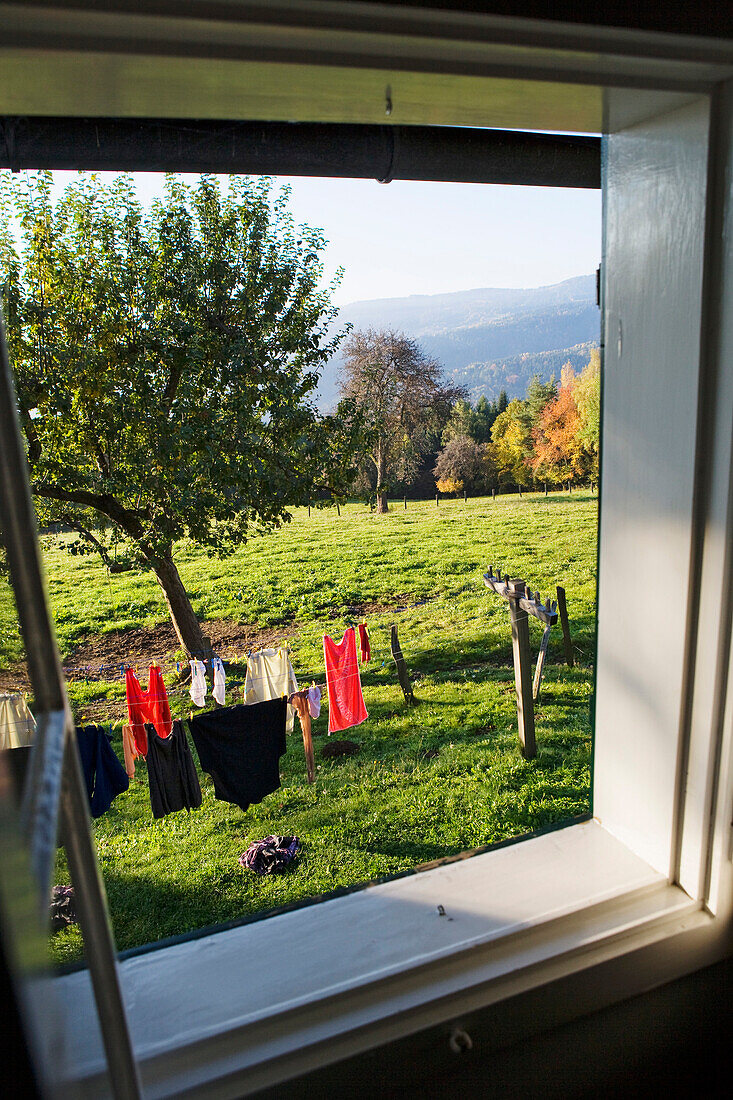 View out of a room of a farm house, St. Stefan ob Stainz, Schilcher vine route