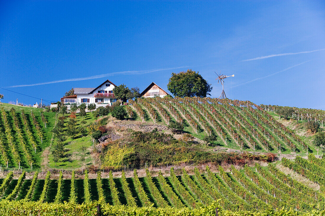 Vine yrds, Deutschlandsberg, Styria